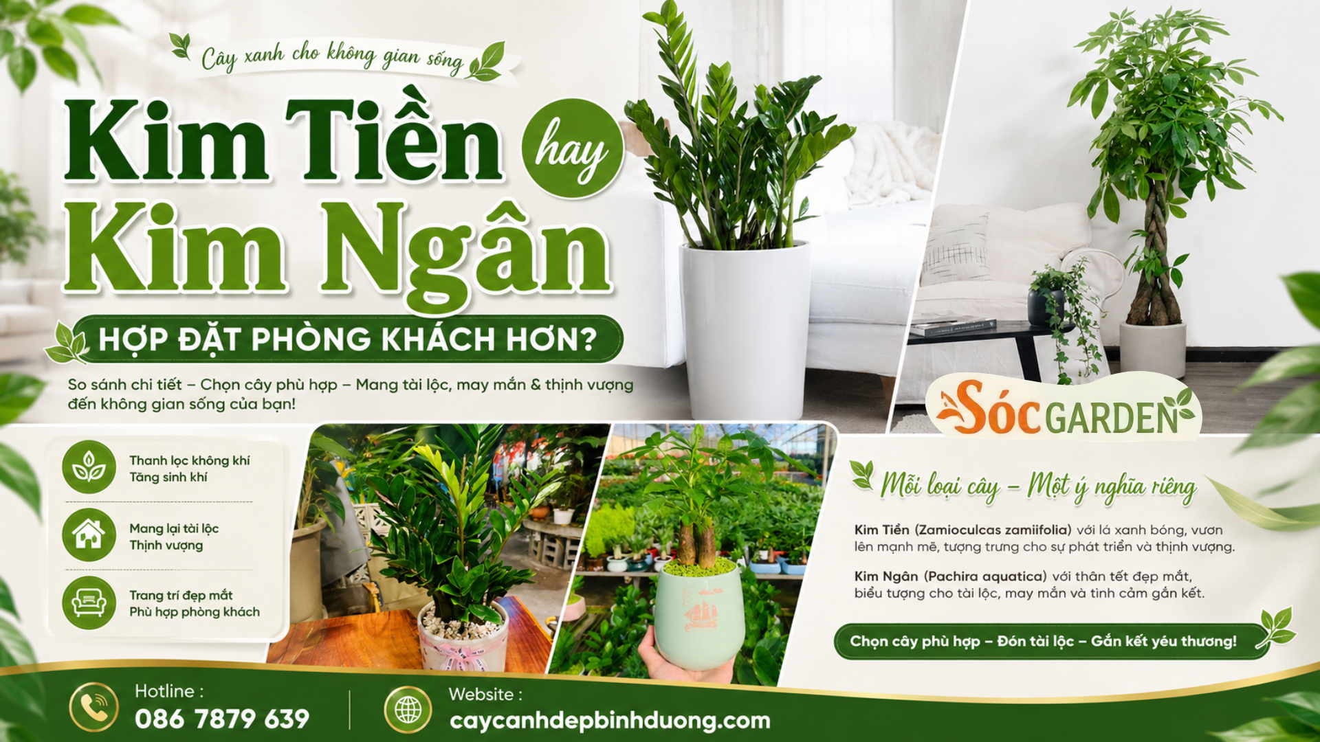 Kim Tiền hay Kim Ngân hợp đặt phòng khách hơn