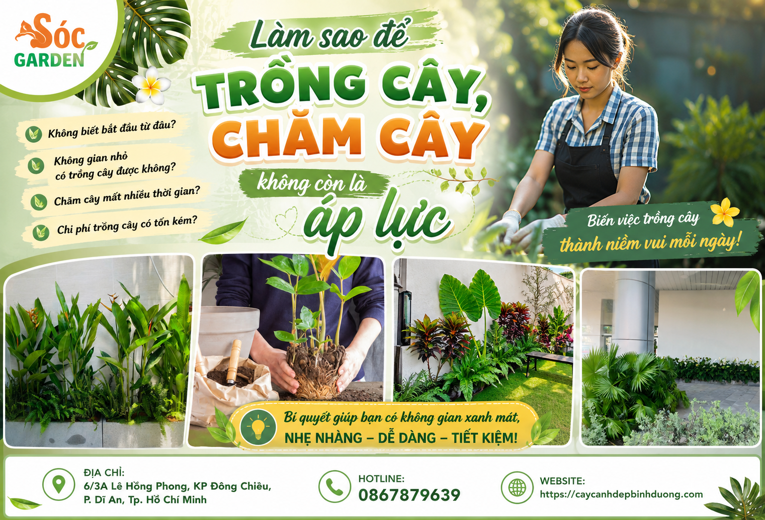 Làm sao để trồng cây, chăm cây không còn là áp lực 