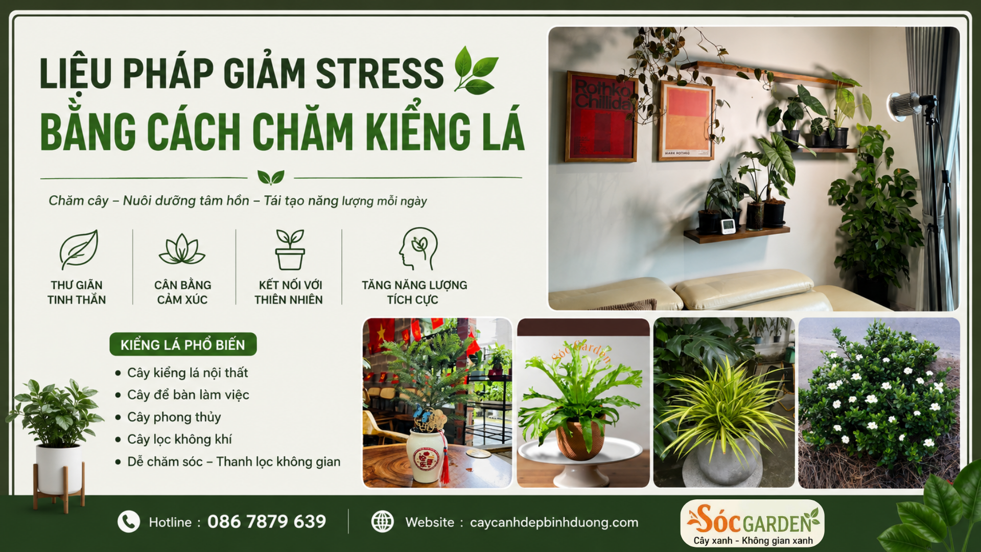 Liệu pháp giảm stress bằng cách chăm kiểng lá
