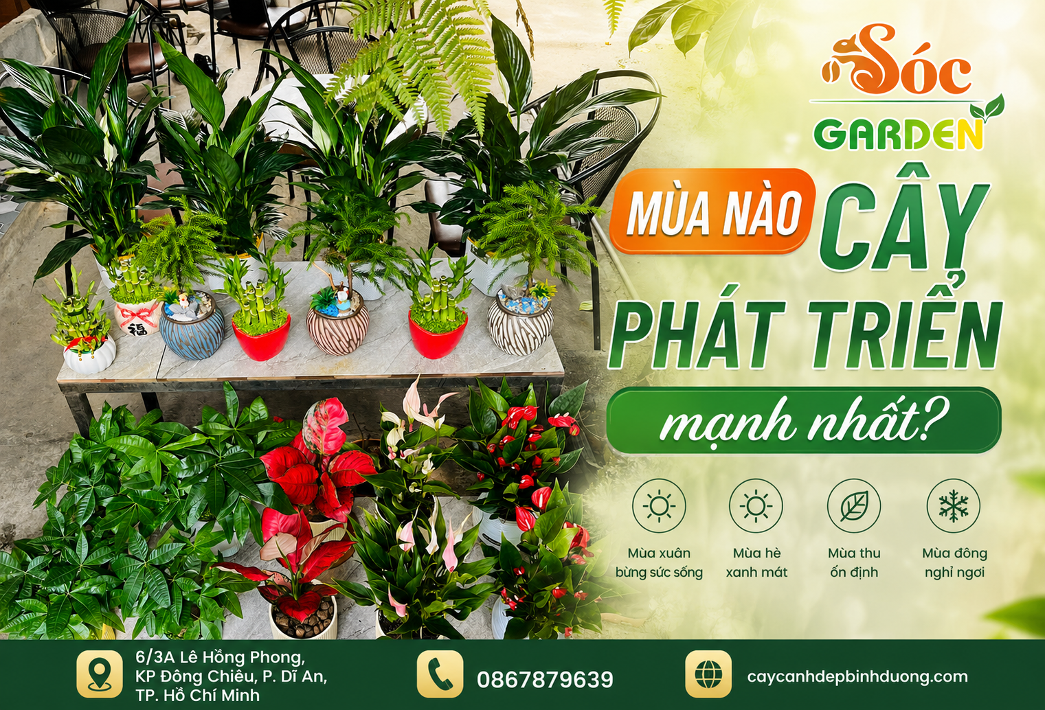 Mùa nào cây phát triển mạnh nhất?