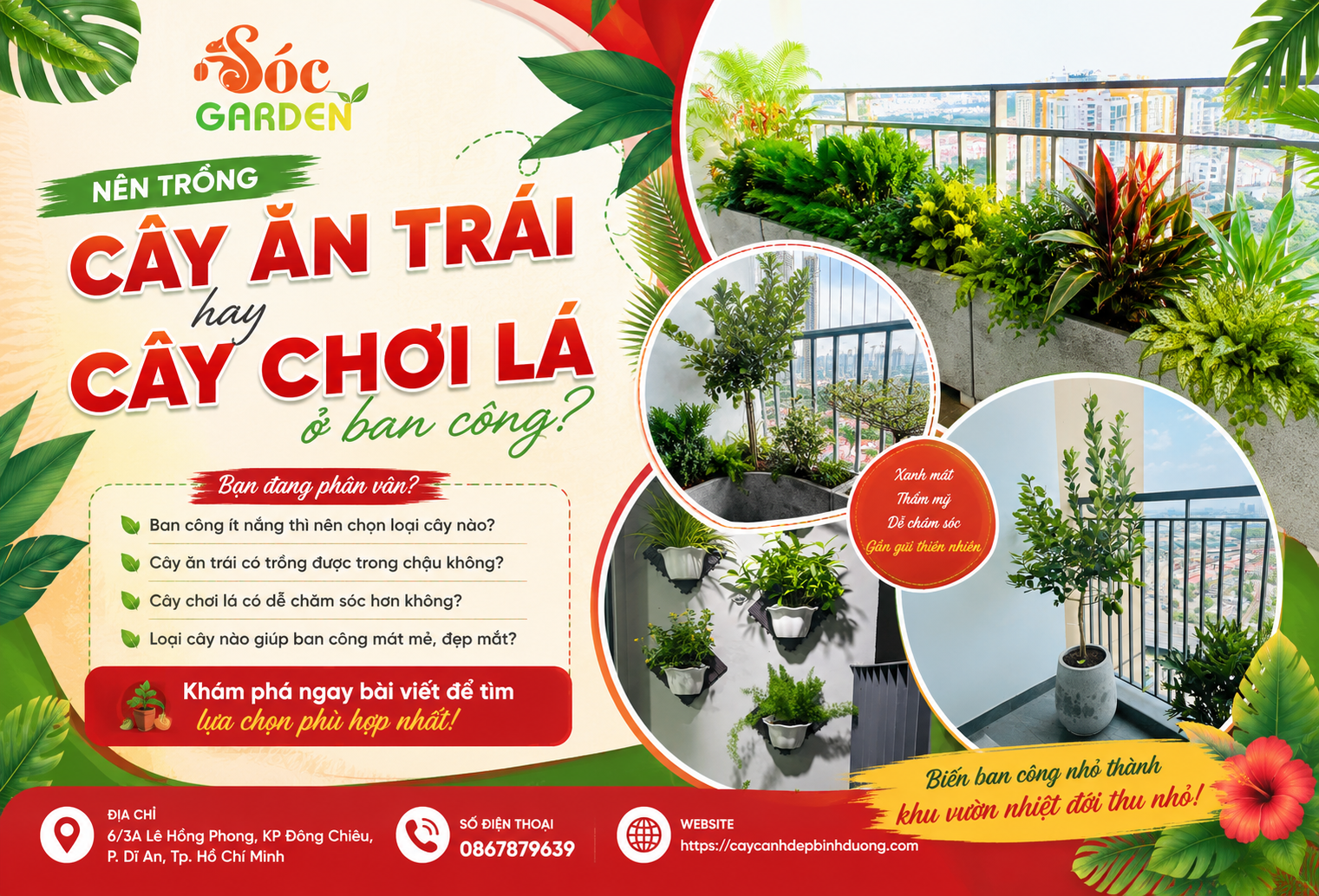 Nên trồng cây ăn trái hay cây chơi lá ở ban công