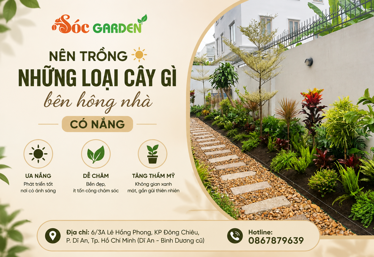 Nên trồng những loại cây gì bên hông nhà có nắng