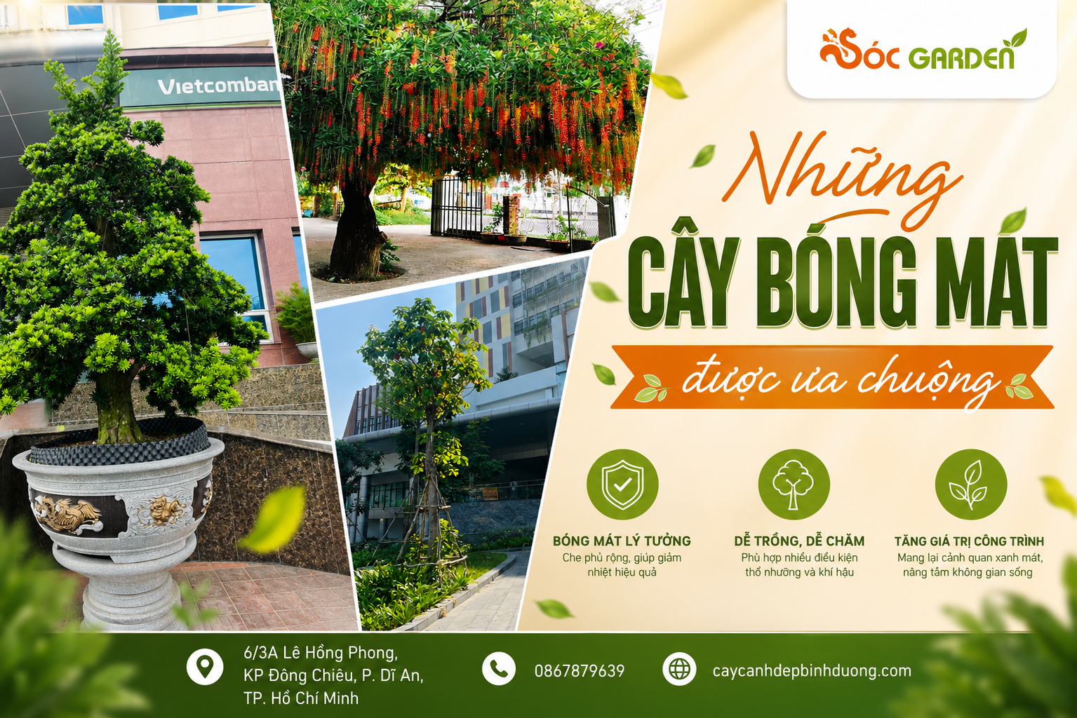 Những cây bóng mát được ưa chuộng