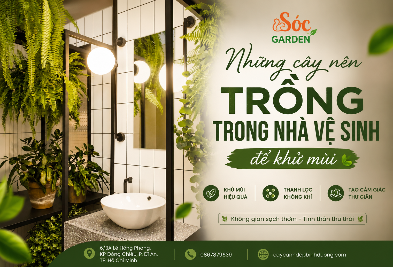 Những cây nên trồng trong nhà vệ sinh để khử mùi