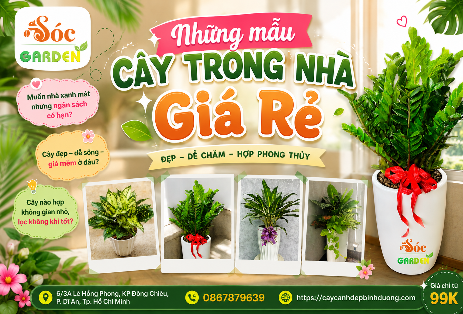 Những mẫu cây trong nhà giá rẻ