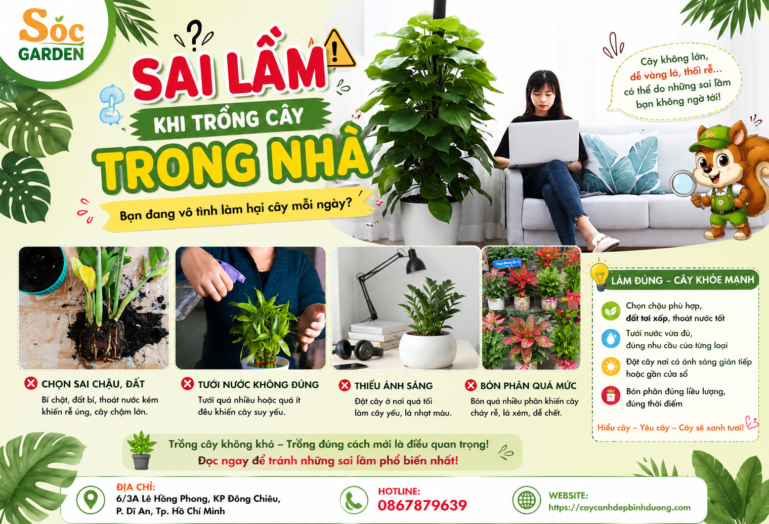Sai lầm khi trồng cây trong nhà 