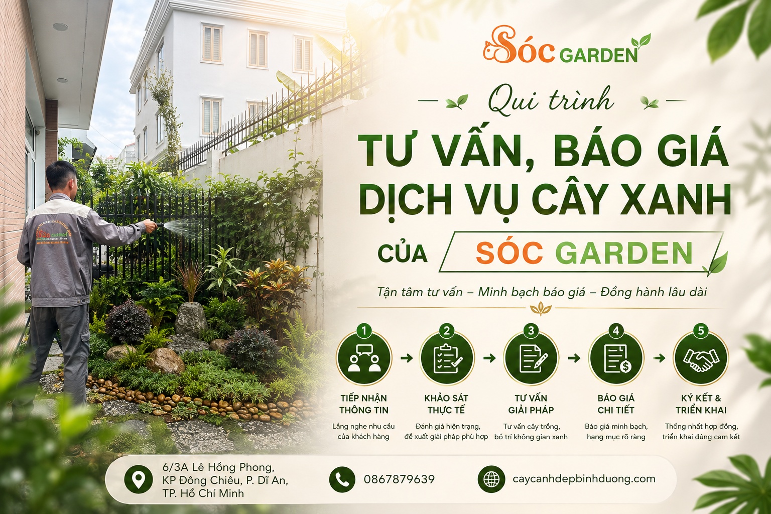 Qui trình tư vấn, báo giá dịch vụ cây xanh của Sóc Garden
