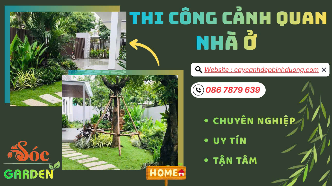 Thi công cảnh quan nhà ở