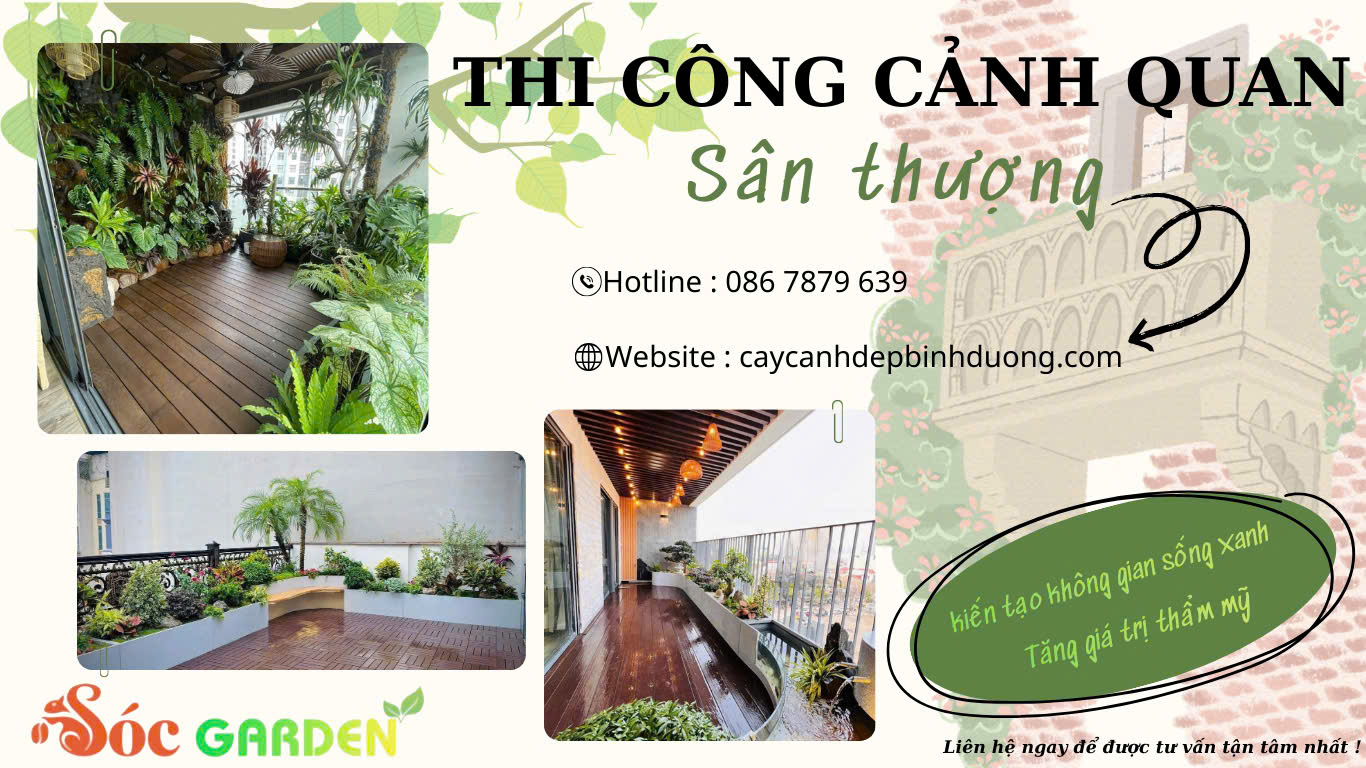 Thi công sân vườn sân thượng