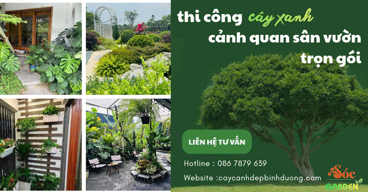 Thi công sân vườn mini
