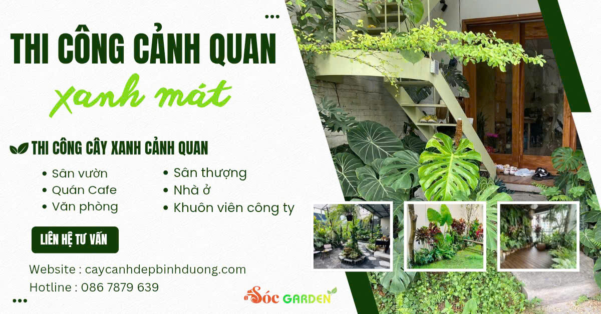 Thi công cảnh quan xanh mát