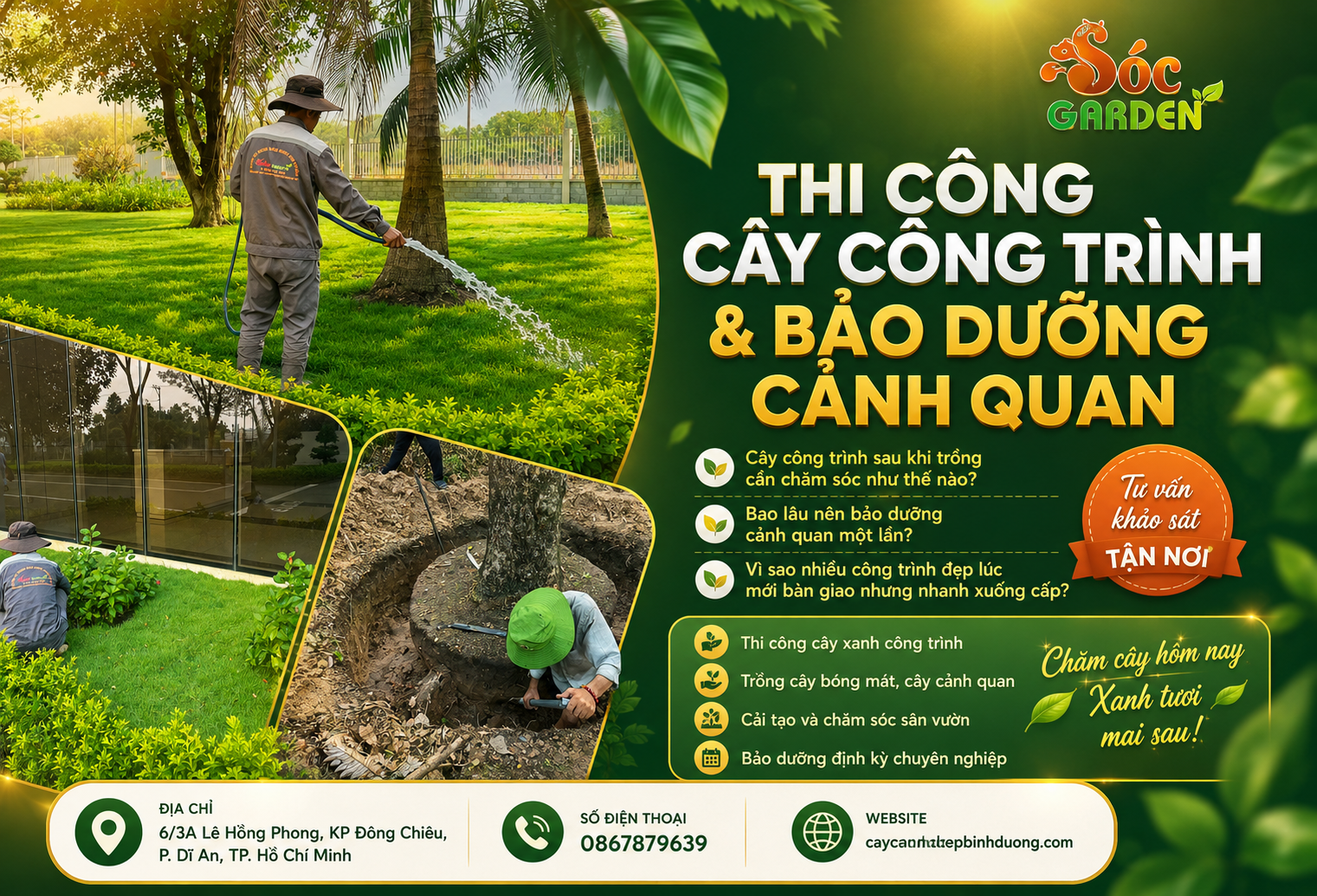 Thi công cây công trình bảo dưỡng