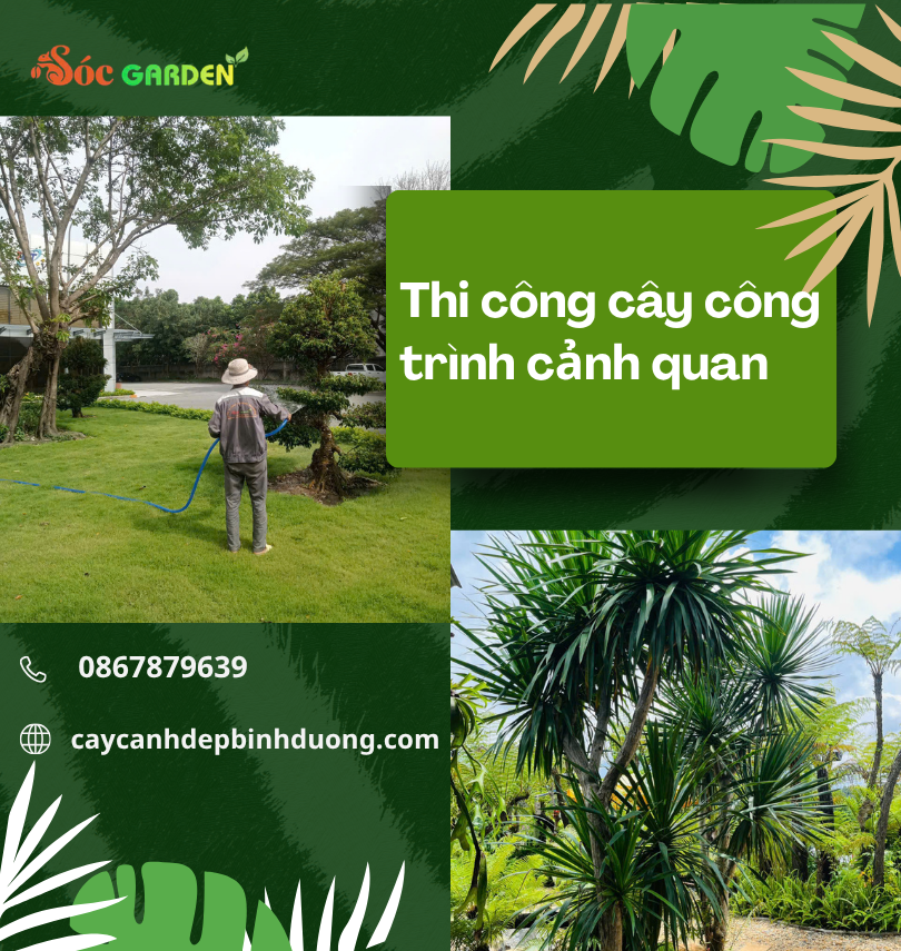 thi công cây công trình cảnh quan đóng vai trò là nghệ thuật sắp đặt