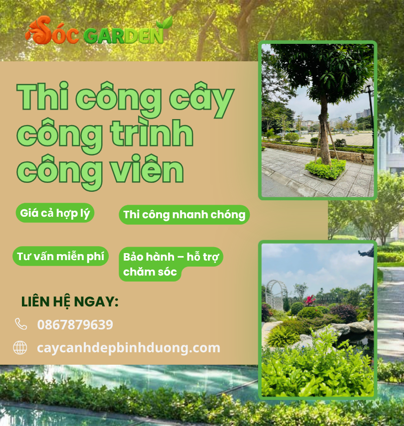 Thi công cây công trình công viên 