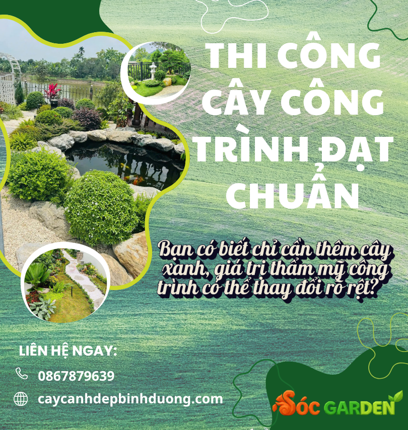 Thi công cây công trình đạt chuẩn