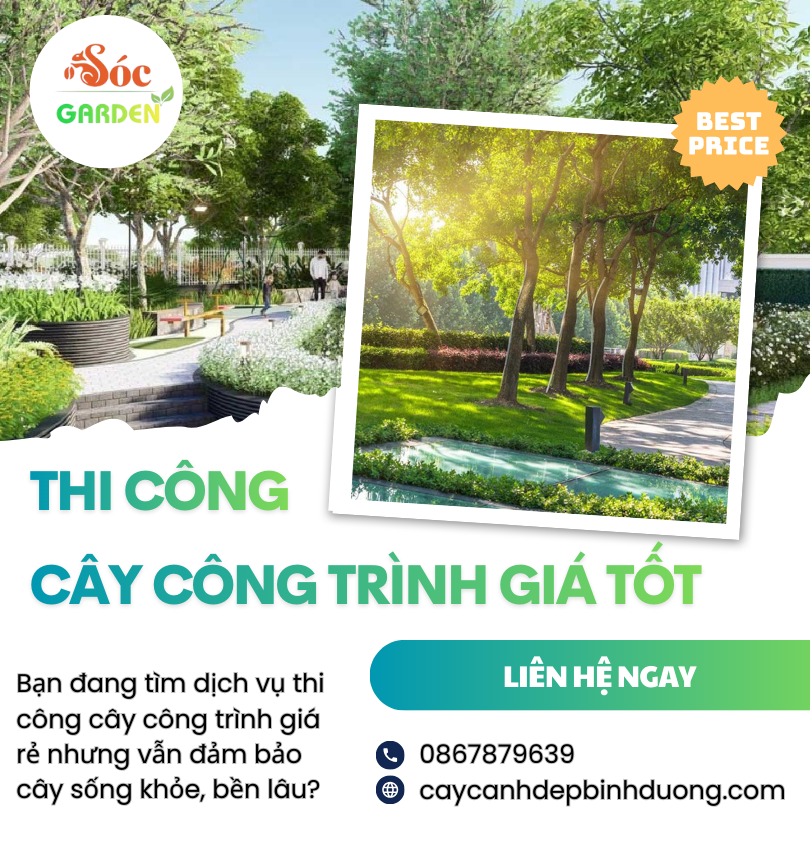 Thi công cây công trình giá tốt
