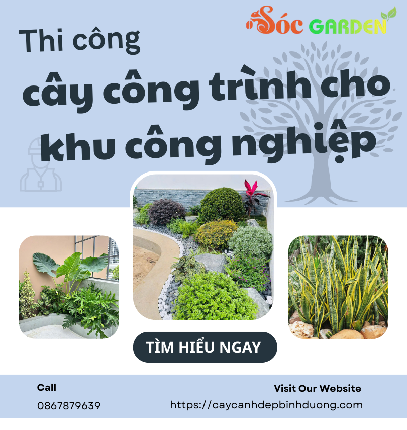 Thi Công Cây Công Trình Cho Khu Công Nghiệp