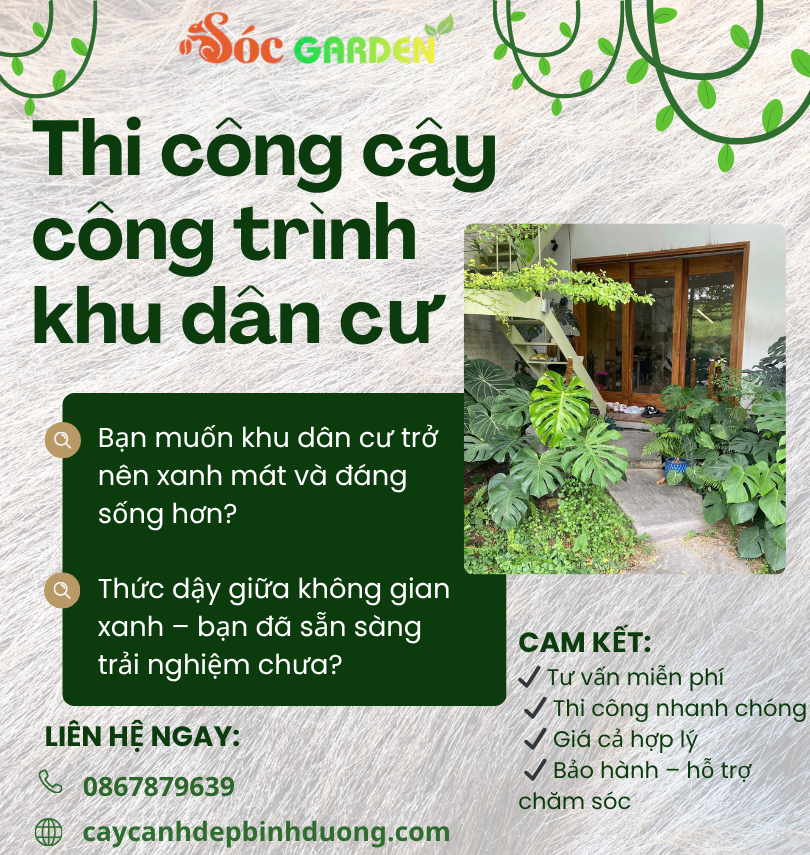 Thi công cây công trình khu dân cư chuyên nghiệp