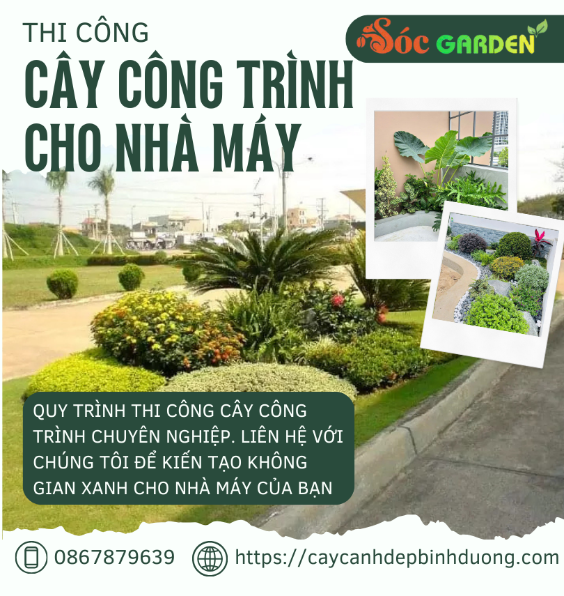 Thi công cây công trình cho nhà máy