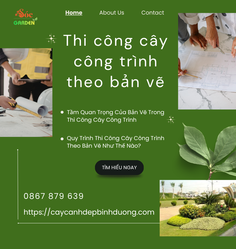 Thi công cây công trình theo bản vẽ