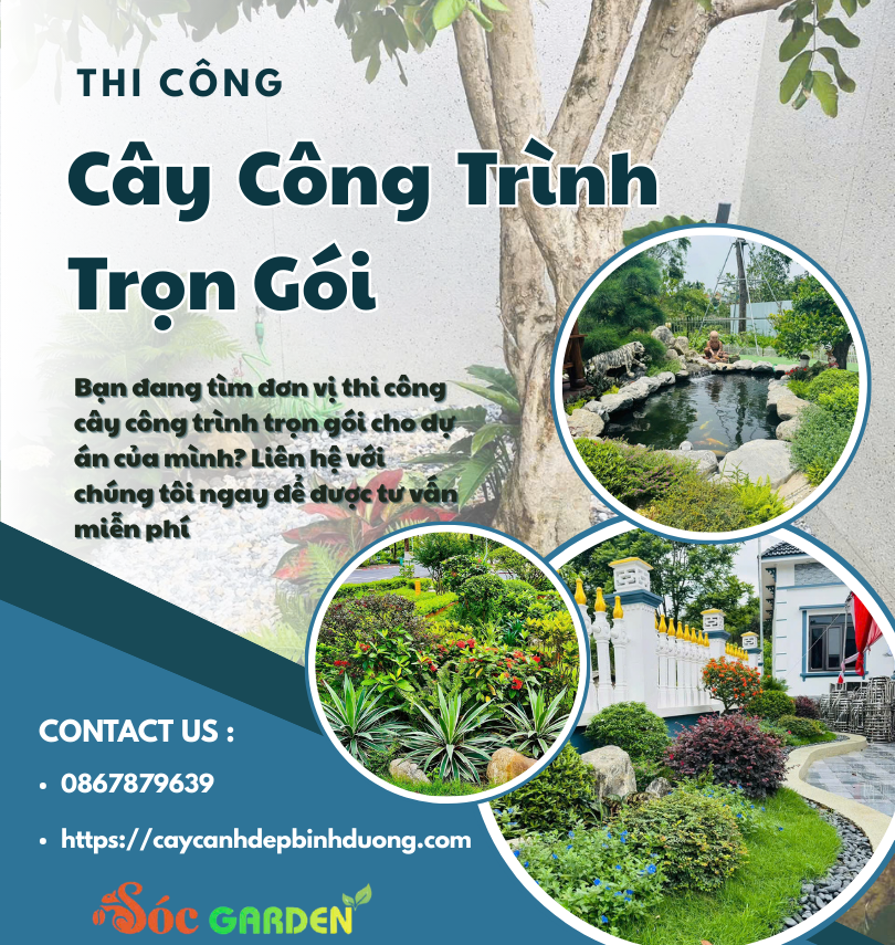 Thi Công Cây Công Trình Trọn Gói