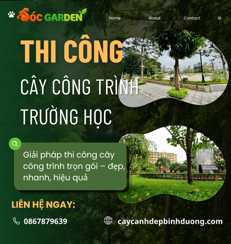 Thi công cây công trình trường học