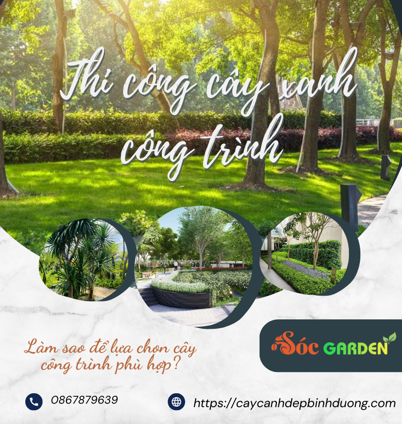 Thi công cây xanh công trình lớn