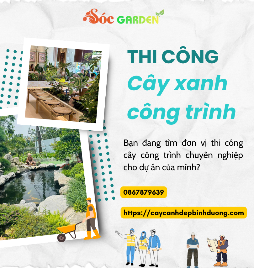 Thi công cây xanh công trình