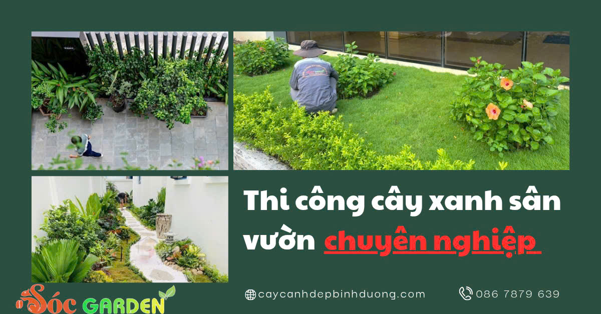Thi công cảnh quan công trình tại Dĩ An