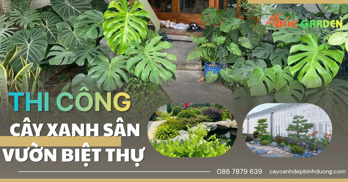 thi coong cây xanh sân vườn biệt thư 