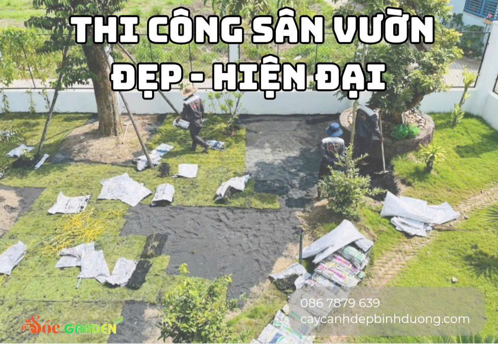 Thi công sân vườn đẹp hiện đại