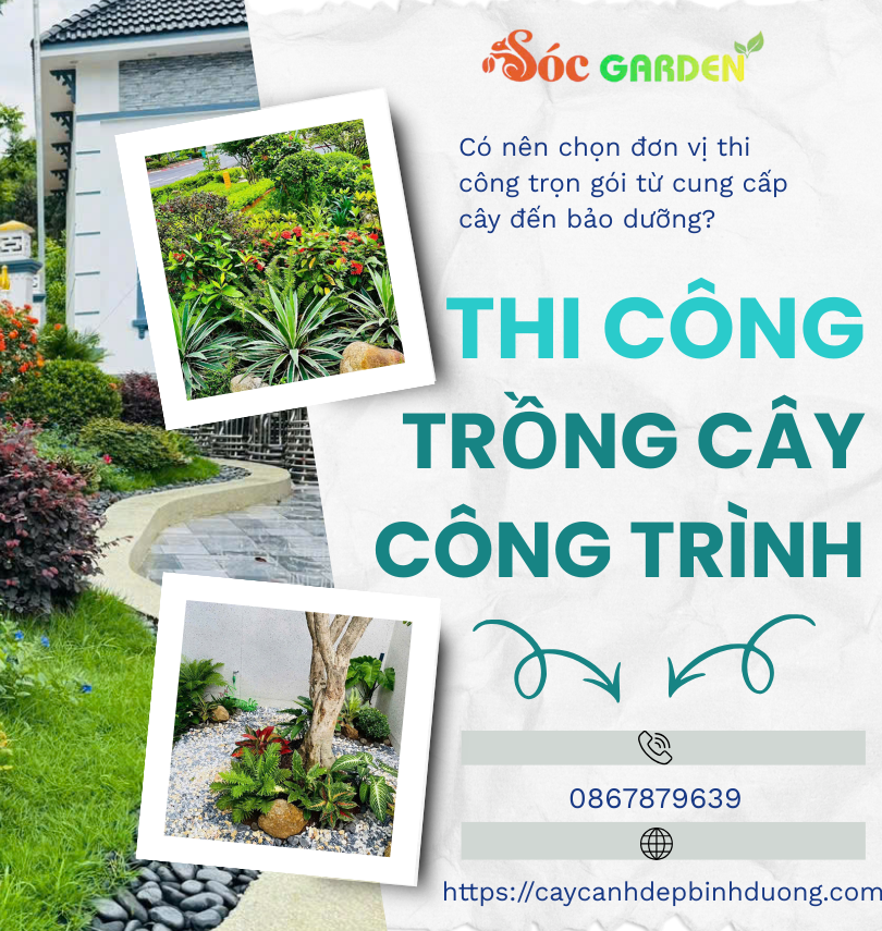 Thi công trồng cây công trình