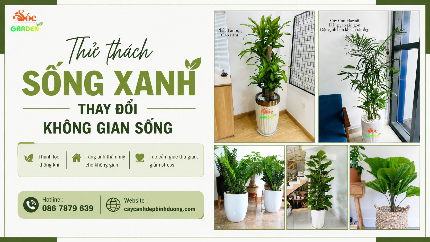 Thử thách sống xanh thay đổi không gian sống
