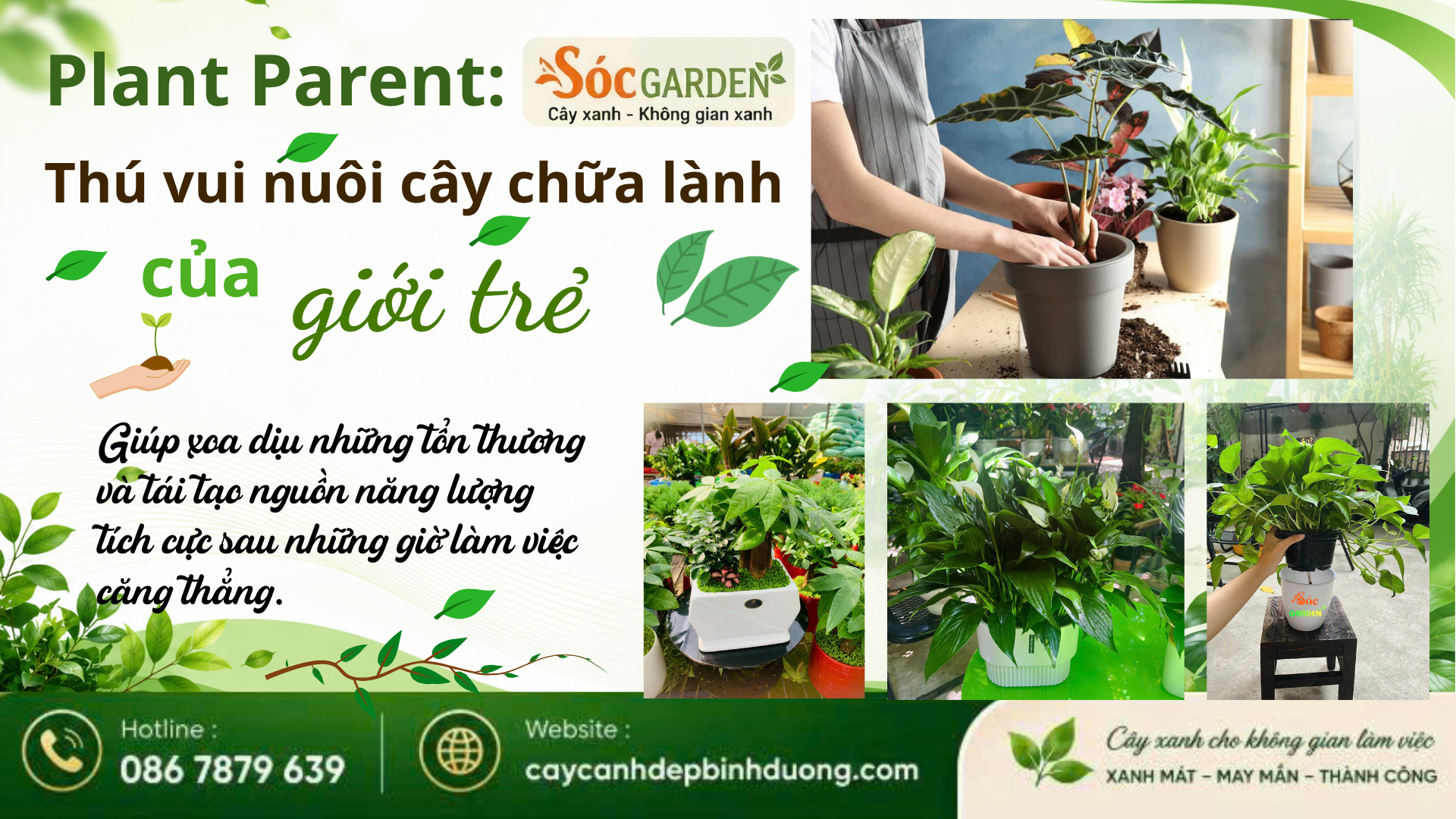 Thú vui nuôi cây chữa lành của giới trẻ
