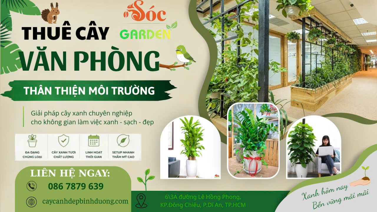 Cho thuê cây văn phòng thân thiện môi trường