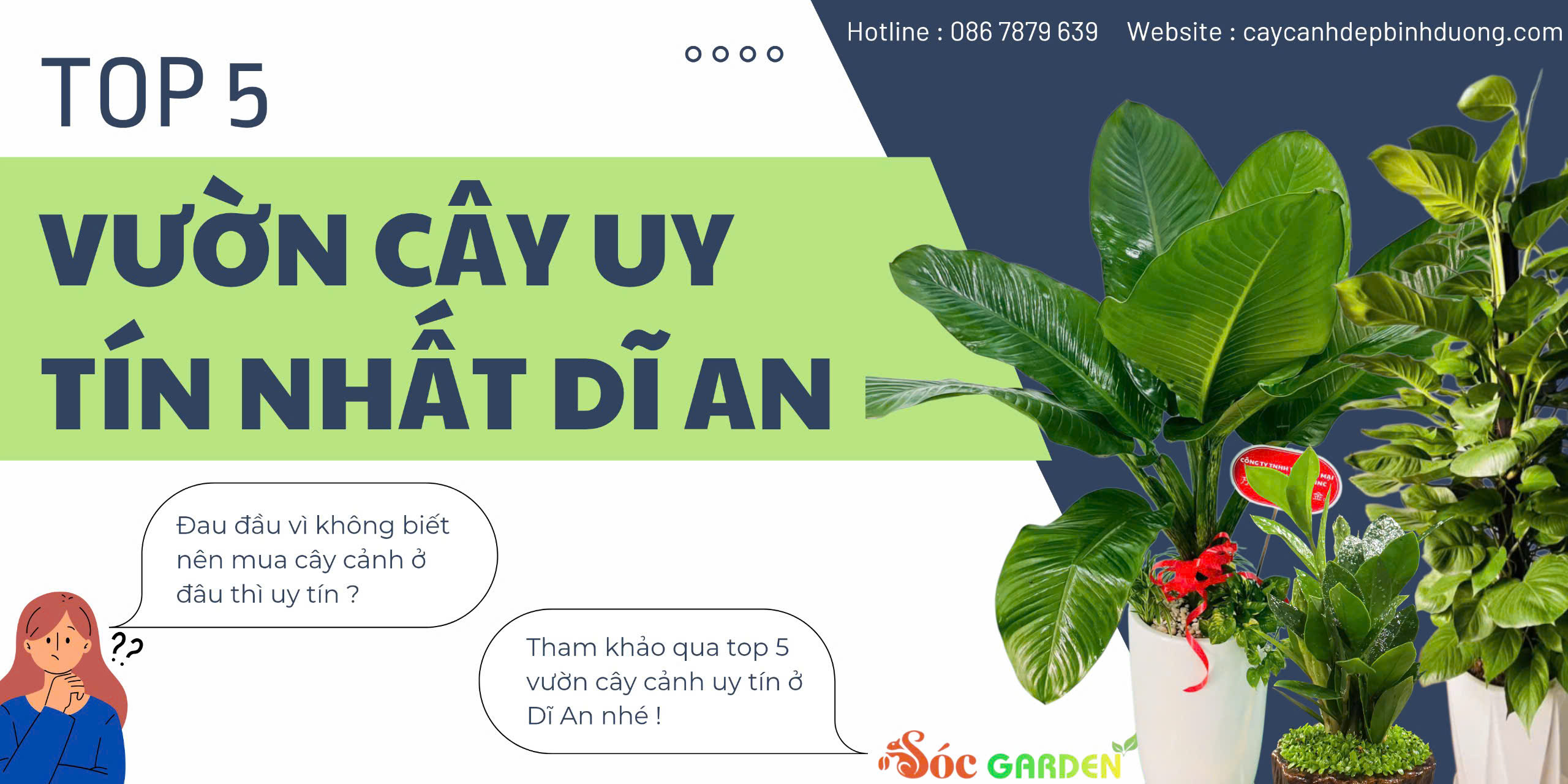 Top 5 Vườn Cây Cảnh Uy Tín Nhất Dĩ An