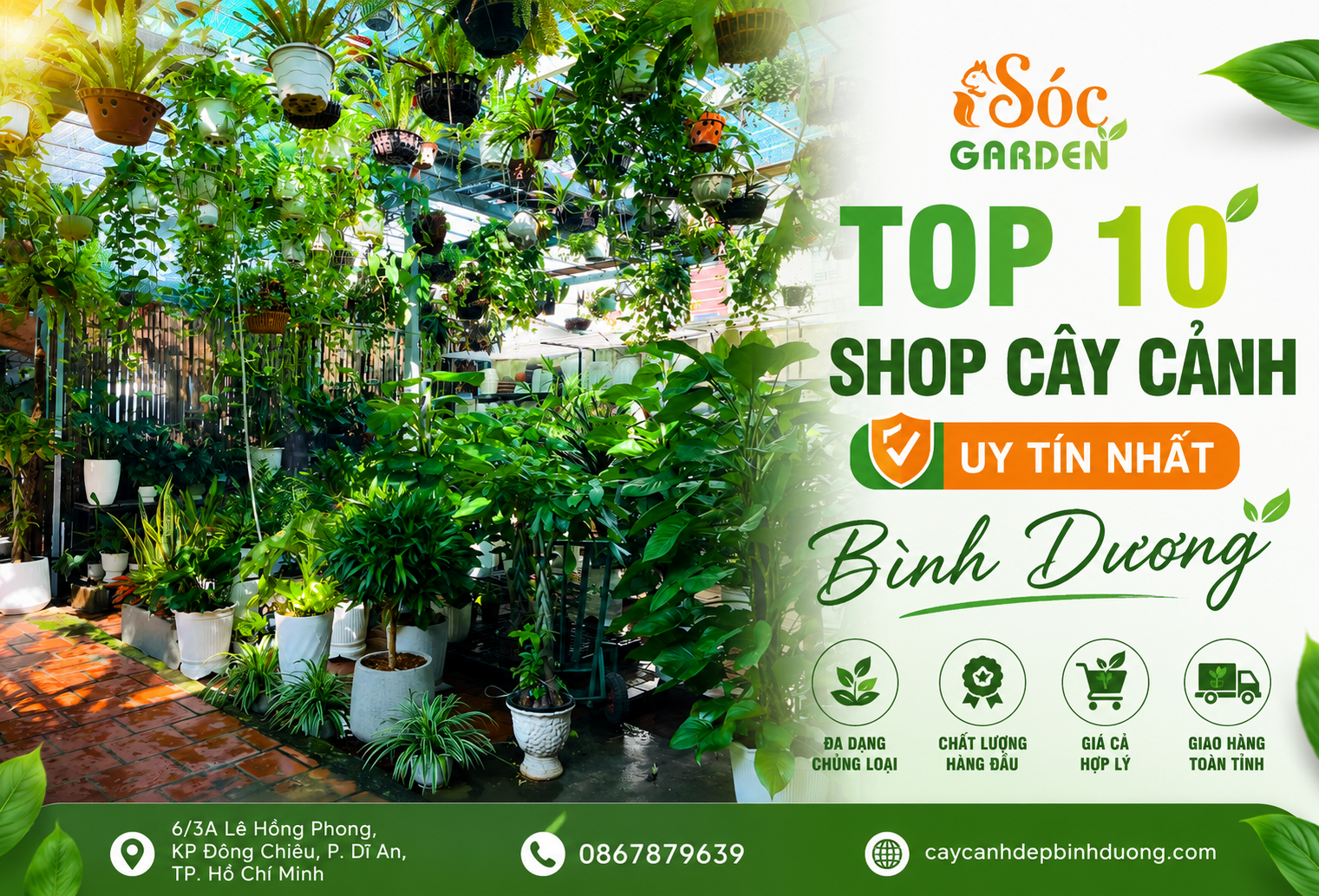 Top 10 Shop Cây Cảnh Uy Tín Nhất Bình Dương