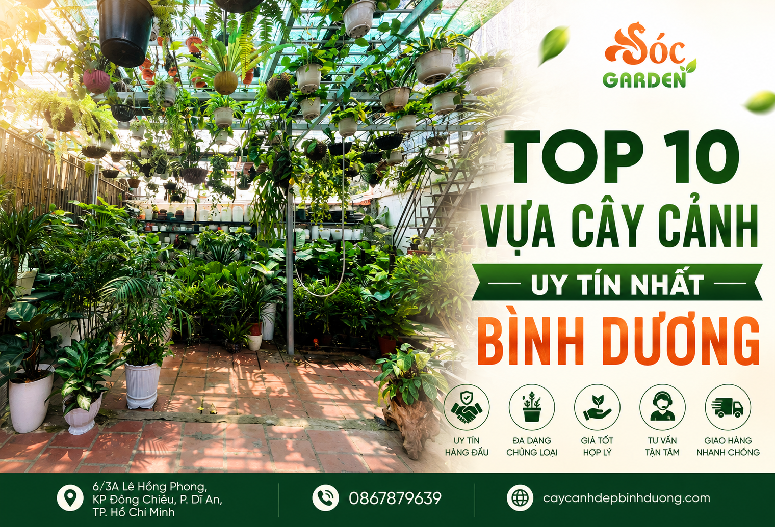 Top 10 Vựa Cây Cảnh Uy Tín Nhất Bình Dương