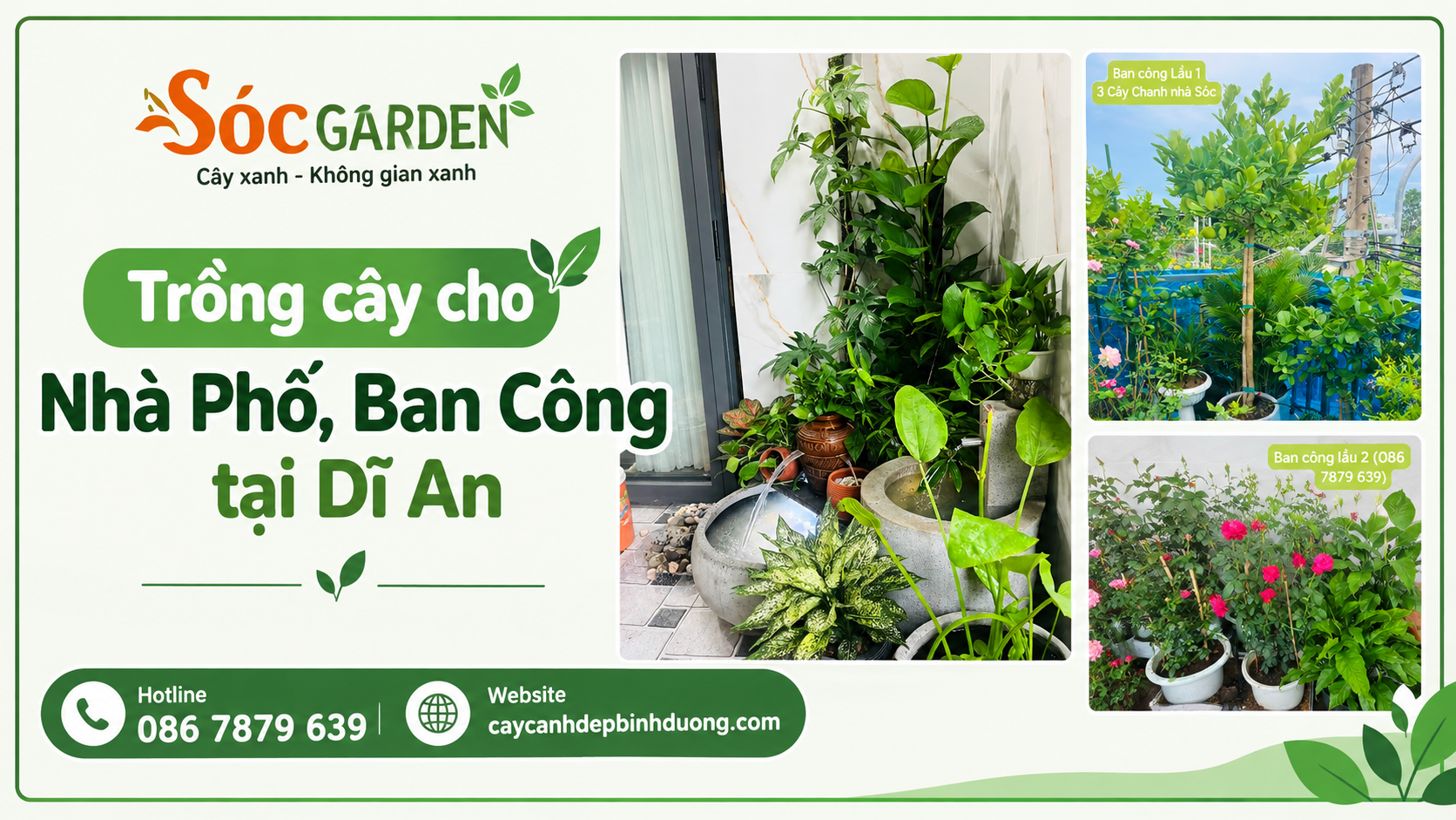Trồng cây cho Nhà Phố, Ban Công tại Dĩ An