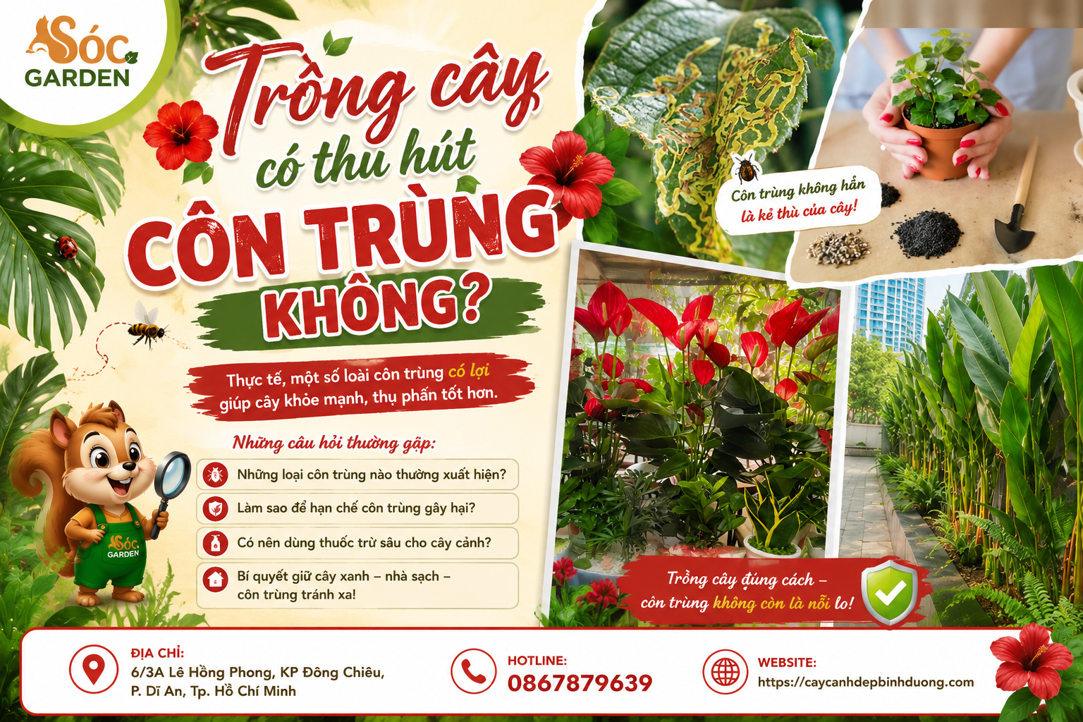 Trồng cây có thu hút côn trùng không?