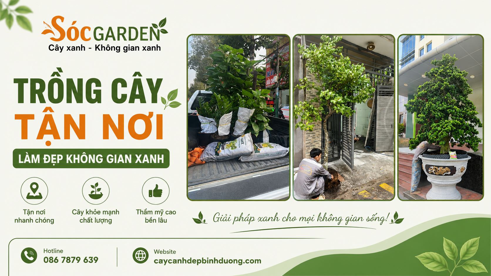 Trồng cây tận nơi - Làm đẹp không gian xanh