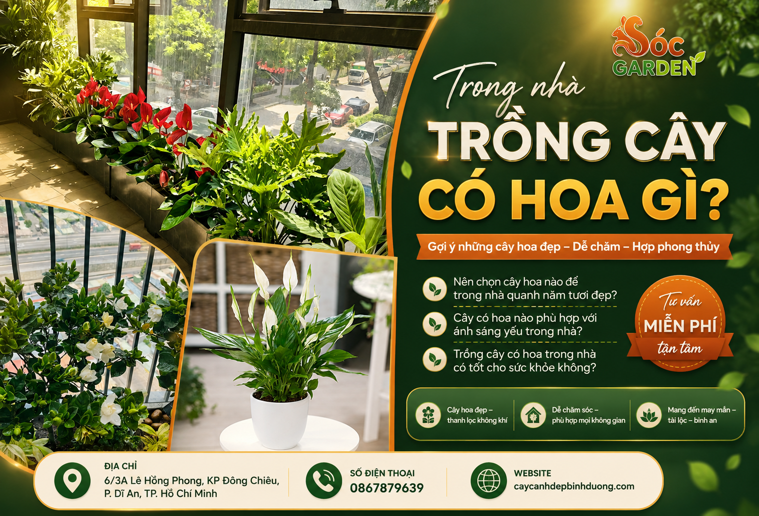 Trong nhà trồng cây có hoa gì? 