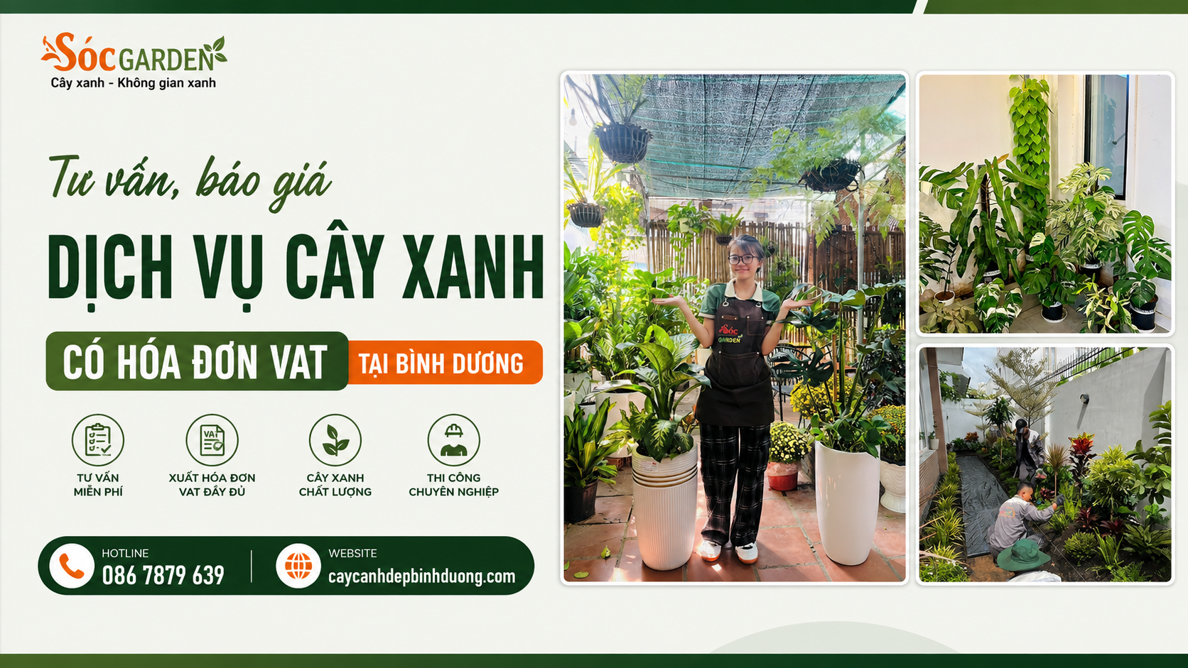 Tư vấn, báo giá dịch vụ cây xanh có VAT ở Bình Dương