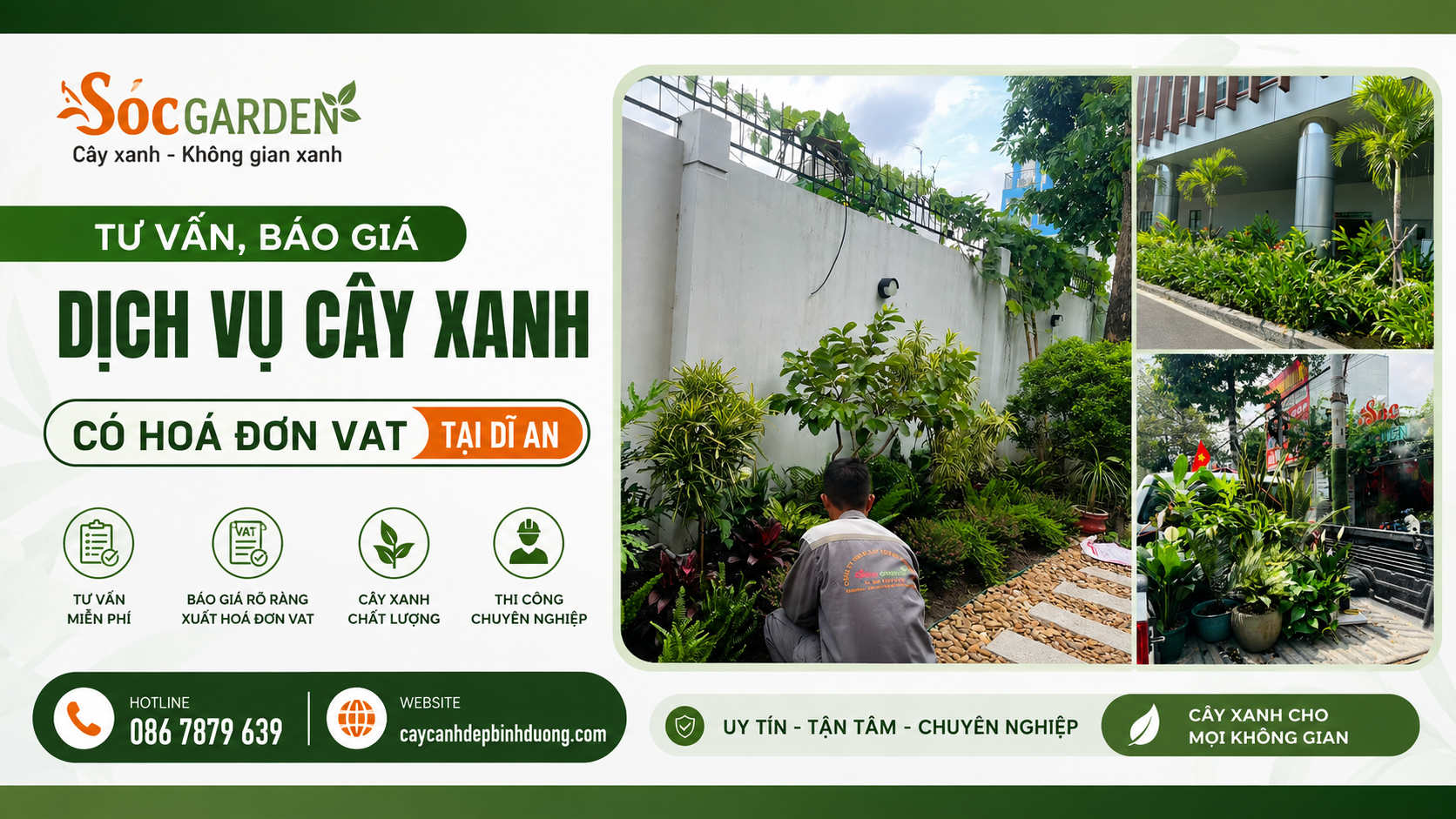 Tư vấn, báo giá dịch vụ cây xanh có VAT tại Dĩ An