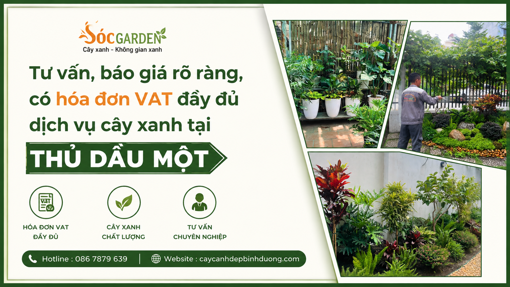 Báo giá dịch vụ cây xanh có VAT ở Thủ Dầu Một