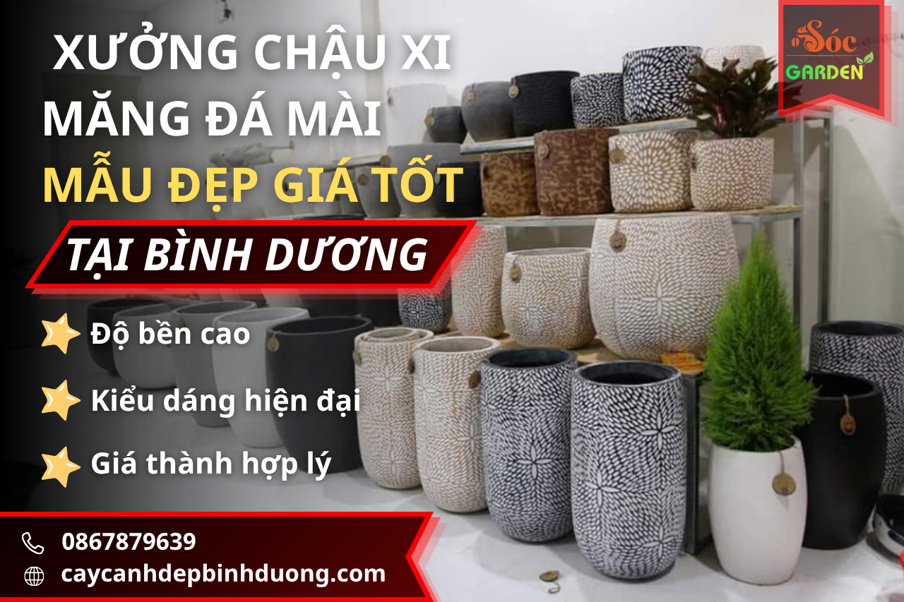 Xưởng chậu xi măng đá mài tại Bình Dương mẫu đẹp