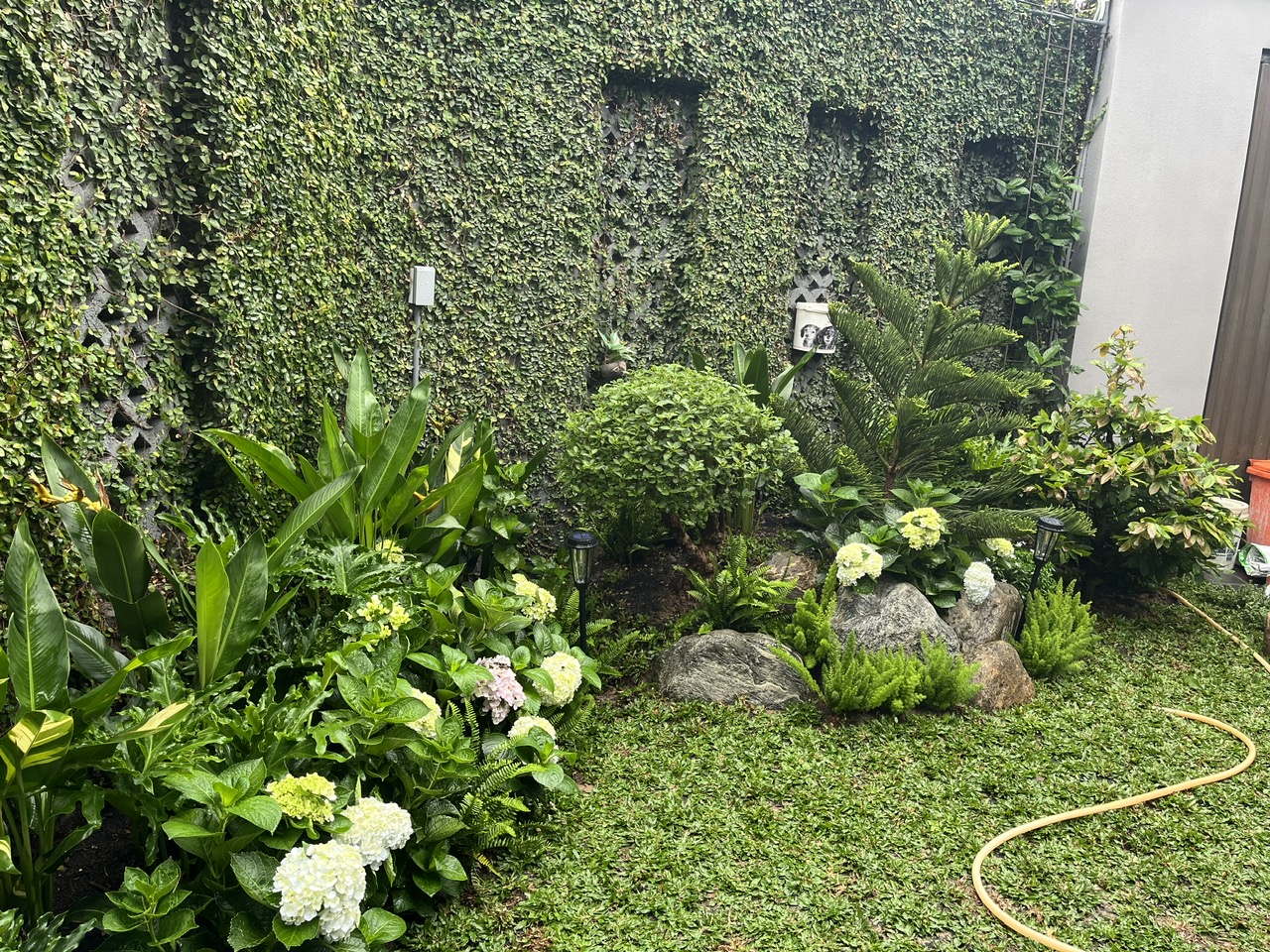 Thi công Cảnh Quan Sân Vườn Tại Dĩ An