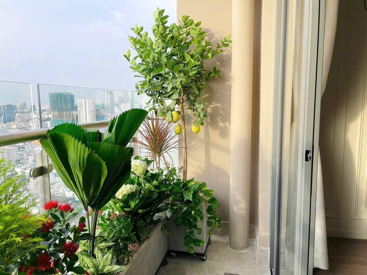 Ban công và sân thượng