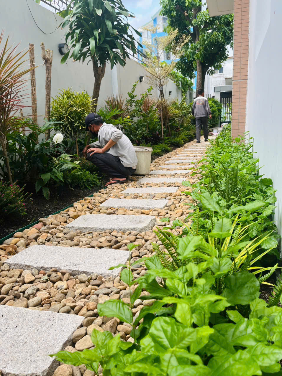 Thi công cảnh quan sân vườn nhà chị Hương tại quận 2 (rộng 3m x dài 18m)