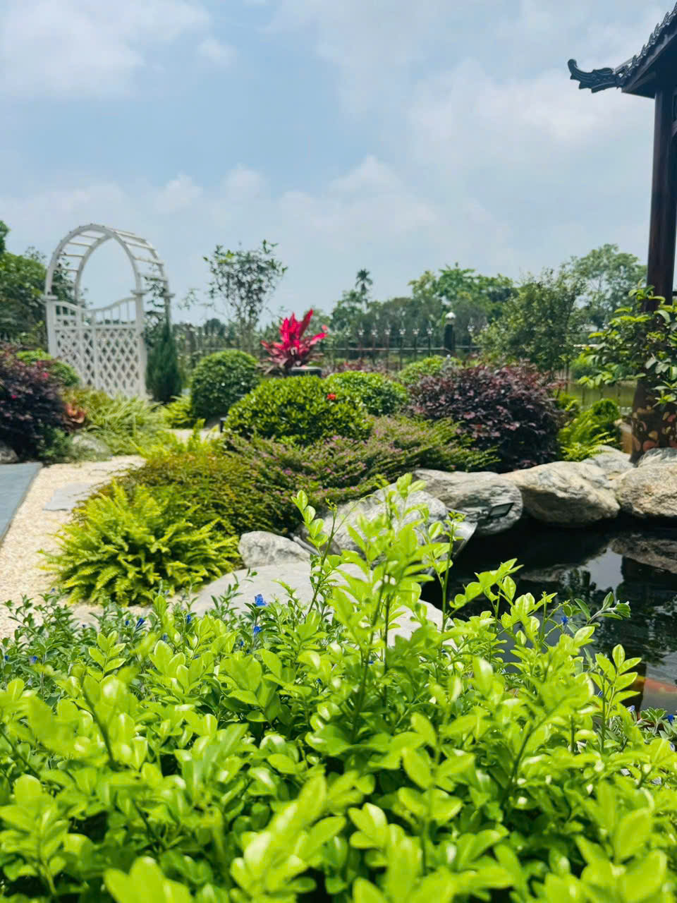 Cây cảnh cho biệt thự